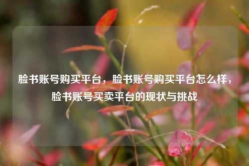 脸书账号购买平台，脸书账号购买平台怎么样，脸书账号买卖平台的现状与挑战