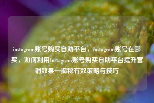 instagram账号购买自助平台，instagram账号在哪买	，如何利用Instagram账号购买自助平台提升营销效果—揭秘有效策略与技巧  第1张
