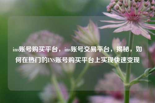 ins账号购买平台，ins账号交易平台，揭秘，如何在热门的INS账号购买平台上实现快速变现