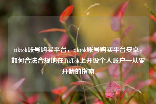 tiktok账号购买平台，tiktok账号购买平台安卓，如何合法合规地在TikTok上开设个人账户—从零开始的指南