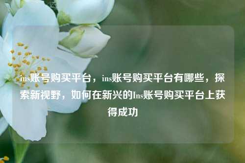 ins账号购买平台，ins账号购买平台有哪些，探索新视野，如何在新兴的Ins账号购买平台上获得成功