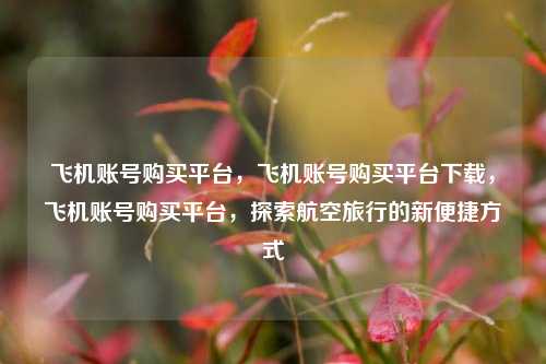 飞机账号购买平台，飞机账号购买平台下载，飞机账号购买平台，探索航空旅行的新便捷方式