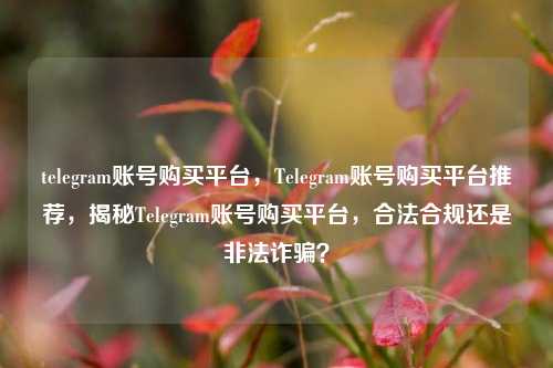 telegram账号购买平台，Telegram账号购买平台推荐，揭秘Telegram账号购买平台，合法合规还是非法诈骗？
