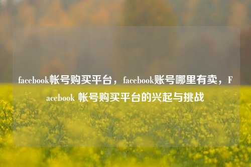 facebook帐号购买平台，facebook账号哪里有卖，Facebook 帐号购买平台的兴起与挑战