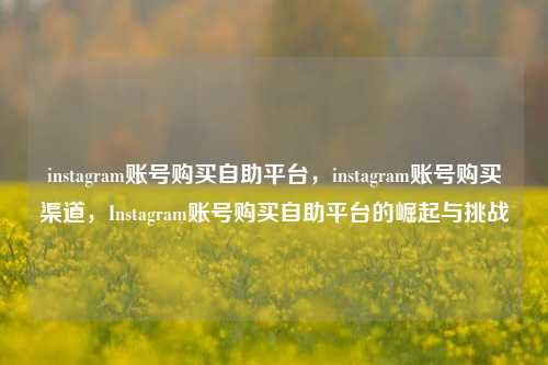 instagram账号购买自助平台，instagram账号购买渠道，Instagram账号购买自助平台的崛起与挑战