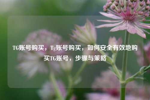 TG账号购买，Tg账号购买，如何安全有效地购买TG账号，步骤与策略
