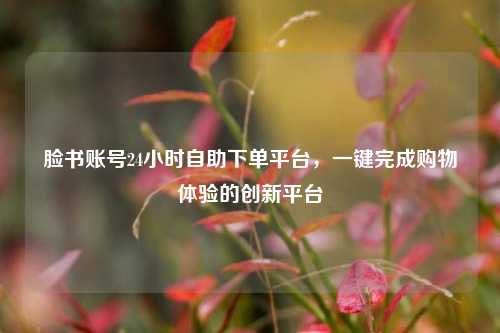 脸书账号24小时自助下单平台，一键完成购物体验的创新平台