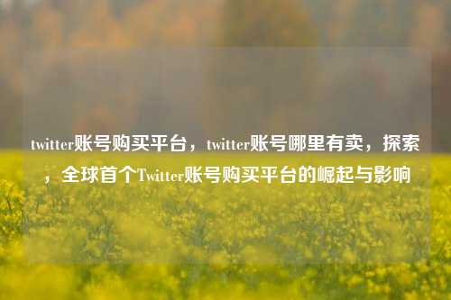 twitter账号购买平台，twitter账号哪里有卖，探索，全球首个Twitter账号购买平台的崛起与影响