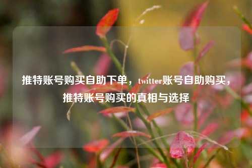 推特账号购买自助下单，twitter账号自助购买，推特账号购买的真相与选择