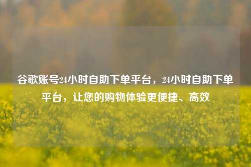 谷歌账号24小时自助下单平台，24小时自助下单平台，让您的购物体验更便捷、高效