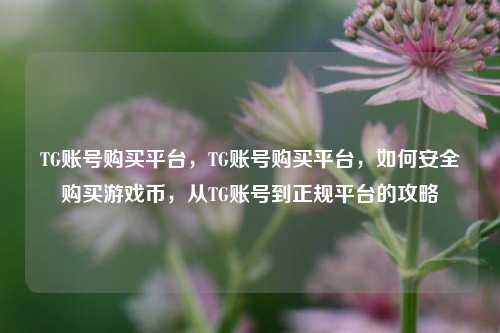 TG账号购买平台，TG账号购买平台，如何安全购买游戏币，从TG账号到正规平台的攻略