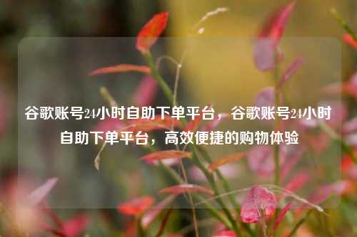谷歌账号24小时自助下单平台，谷歌账号24小时自助下单平台，高效便捷的购物体验