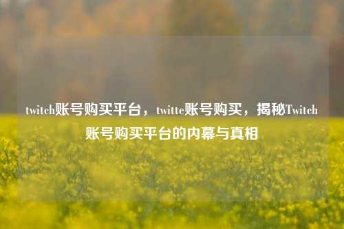 twitch账号购买平台，twitte账号购买，揭秘Twitch账号购买平台的内幕与真相
