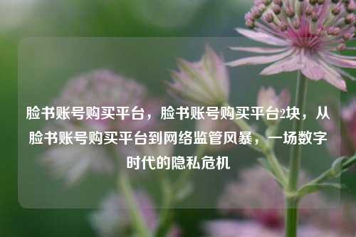 脸书账号购买平台，脸书账号购买平台2块，从脸书账号购买平台到网络监管风暴，一场数字时代的隐私危机