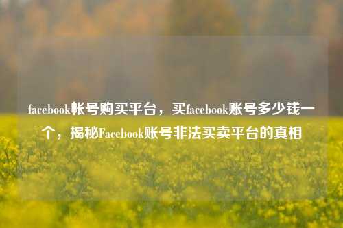 facebook帐号购买平台，买facebook账号多少钱一个，揭秘Facebook账号非法买卖平台的真相