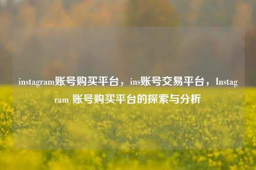 instagram账号购买平台	，ins账号交易平台，Instagram 账号购买平台的探索与分析  第1张