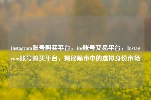 instagram账号购买平台，ins账号交易平台，Instagram账号购买平台，揭秘黑市中的虚拟身份市场