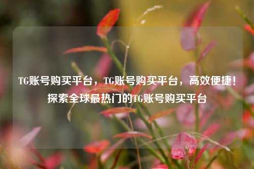 TG账号购买平台，TG账号购买平台，高效便捷！探索全球最热门的TG账号购买平台