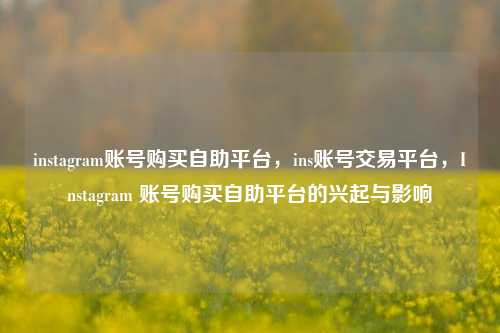 instagram账号购买自助平台，ins账号交易平台，Instagram 账号购买自助平台的兴起与影响  第1张