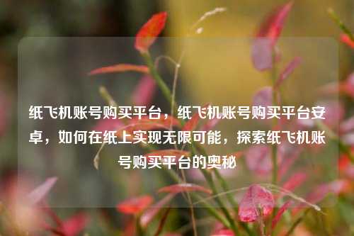 纸飞机账号购买平台，纸飞机账号购买平台安卓，如何在纸上实现无限可能，探索纸飞机账号购买平台的奥秘