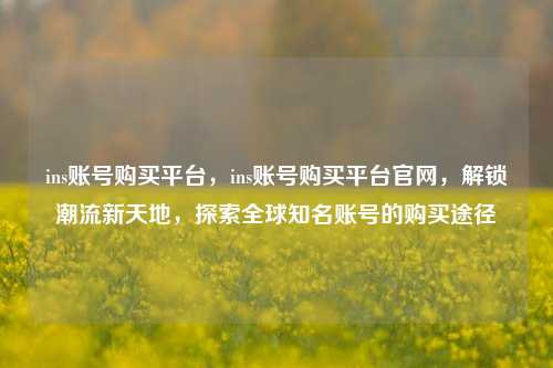 ins账号购买平台，ins账号购买平台官网，解锁潮流新天地，探索全球知名账号的购买途径