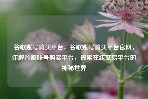 谷歌账号购买平台	，谷歌账号购买平台官网，详解谷歌账号购买平台，探索在线交易平台的神秘世界  第1张