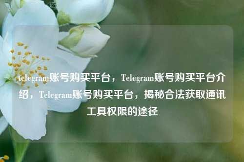 telegram账号购买平台，Telegram账号购买平台介绍，Telegram账号购买平台，揭秘合法获取通讯工具权限的途径