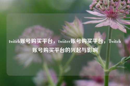 twitch账号购买平台，twiiter账号购买平台	，Twitch账号购买平台的兴起与影响  第1张