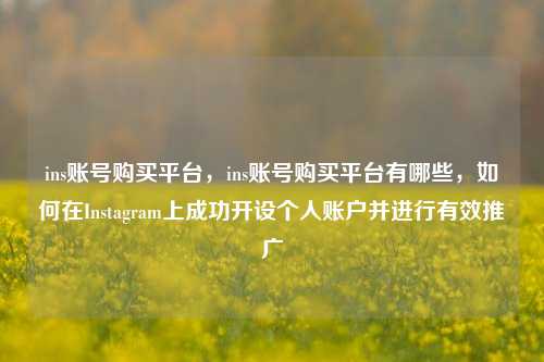 ins账号购买平台，ins账号购买平台有哪些，如何在Instagram上成功开设个人账户并进行有效推广