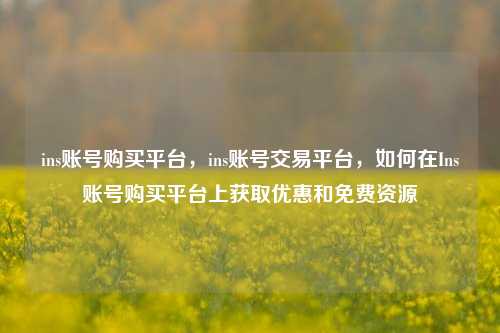 ins账号购买平台，ins账号交易平台，如何在Ins账号购买平台上获取优惠和免费资源