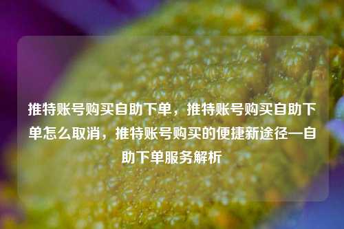 推特账号购买自助下单，推特账号购买自助下单怎么取消，推特账号购买的便捷新途径—自助下单服务解析