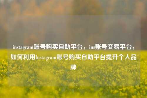 instagram账号购买自助平台，ins账号交易平台，如何利用Instagram账号购买自助平台提升个人品牌