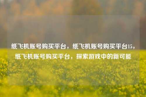 纸飞机账号购买平台，纸飞机账号购买平台15，纸飞机账号购买平台，探索游戏中的新可能