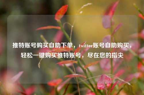 推特账号购买自助下单，twitter账号自助购买，轻松一键购买推特账号，尽在您的指尖