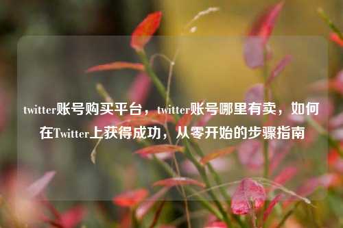 twitter账号购买平台，twitter账号哪里有卖，如何在Twitter上获得成功，从零开始的步骤指南