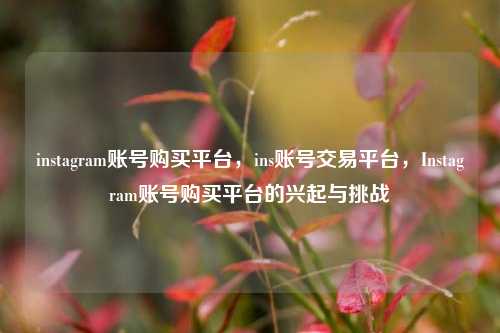 instagram账号购买平台，ins账号交易平台，Instagram账号购买平台的兴起与挑战