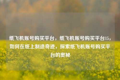 纸飞机账号购买平台	，纸飞机账号购买平台15，如何在纸上制造奇迹，探索纸飞机账号购买平台的奥秘  第1张