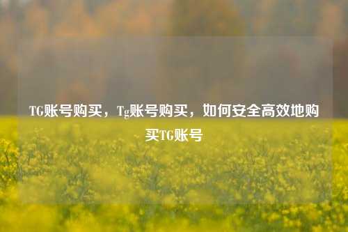TG账号购买，Tg账号购买，如何安全高效地购买TG账号
