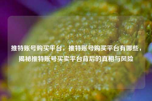 推特账号购买平台，推特账号购买平台有哪些，揭秘推特账号买卖平台背后的真相与风险