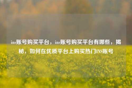 ins账号购买平台，ins账号购买平台有哪些，揭秘，如何在优质平台上购买热门INS账号