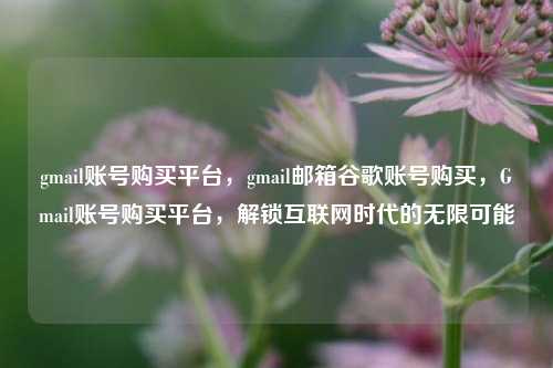 gmail账号购买平台，gmail邮箱谷歌账号购买，Gmail账号购买平台，解锁互联网时代的无限可能