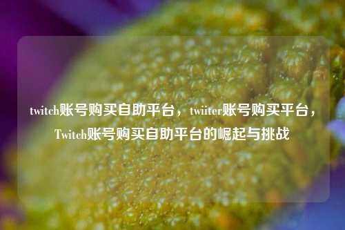 twitch账号购买自助平台，twiiter账号购买平台，Twitch账号购买自助平台的崛起与挑战