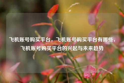 飞机账号购买平台，飞机账号购买平台有哪些，飞机账号购买平台的兴起与未来趋势  第1张