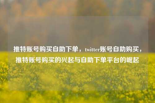 推特账号购买自助下单，twitter账号自助购买，推特账号购买的兴起与自助下单平台的崛起