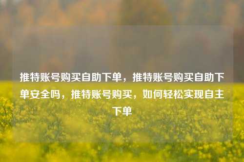 推特账号购买自助下单，推特账号购买自助下单安全吗，推特账号购买，如何轻松实现自主下单