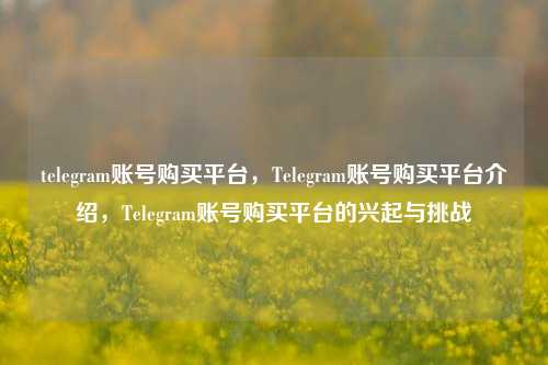 telegram账号购买平台，Telegram账号购买平台介绍，Telegram账号购买平台的兴起与挑战