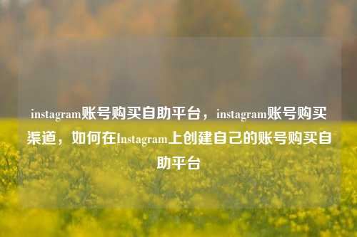instagram账号购买自助平台，instagram账号购买渠道，如何在Instagram上创建自己的账号购买自助平台