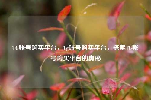 TG账号购买平台，Tg账号购买平台	，探索TG账号购买平台的奥秘  第1张