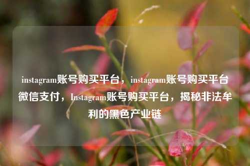 instagram账号购买平台，instagram账号购买平台微信支付，Instagram账号购买平台，揭秘非法牟利的黑色产业链  第1张