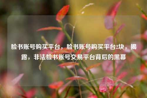脸书账号购买平台，脸书账号购买平台2块，揭露，非法脸书账号交易平台背后的黑幕